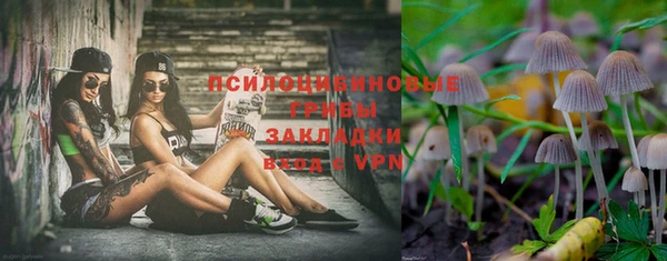 кокс Алзамай