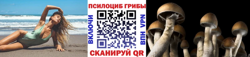 Галлюциногенные грибы прущие грибы  магазин  наркотиков  Шадринск 